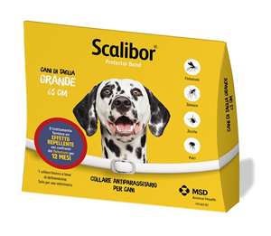 SCALIBOR PROTECTOR BAND*BI65CM - Farmacia Bartoli
