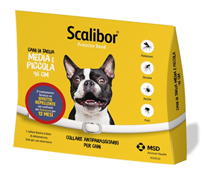 SCALIBOR PROTECTOR BAND*BI48CM - Farmacia Bartoli