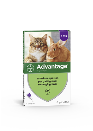 ADVANTAGE*4PIP 0,8ML SPOTON - Farmacia Bartoli