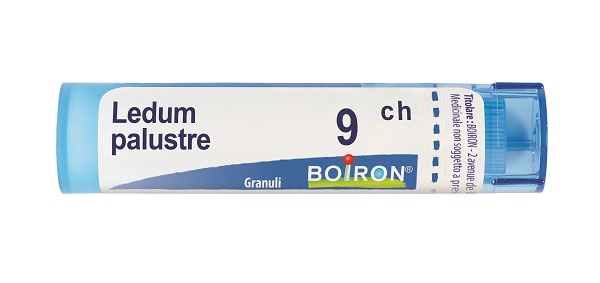 LEDUM PALUSTRE 9 CH GRANULI 4G - Farmacia Bartoli