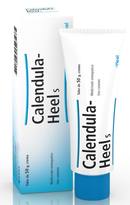 HEEL CALENDULA SALBE POMATA M 50 G - Farmacia Bartoli