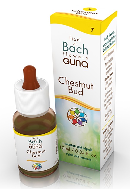 CHESTNUT BUD GOCCE 10 ML - Farmacia Bartoli