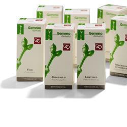BETULLA PUBESCENS GEMME MACERATO GLICERICO 50 ML - Farmacia Bartoli