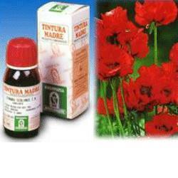 PAPAVERO CALIFORNIA 13 50ML TM - Farmacia Bartoli