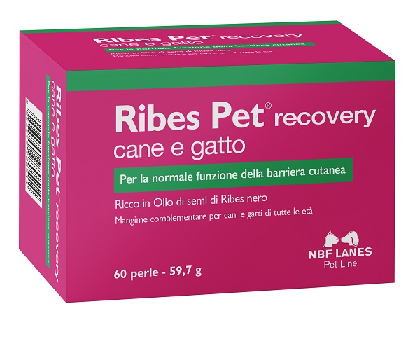 RIBES PET RECOVERY BLISTER 60 PERLE - Farmacia Bartoli