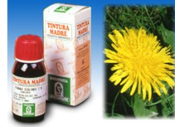 TARASSACO 28 50ML TM - Farmacia Bartoli
