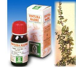 UVA URSINA 30 50ML TM - Farmacia Bartoli