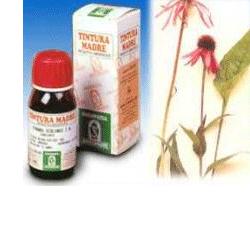 ECHINACEA 59 50ML TM - Farmacia Bartoli