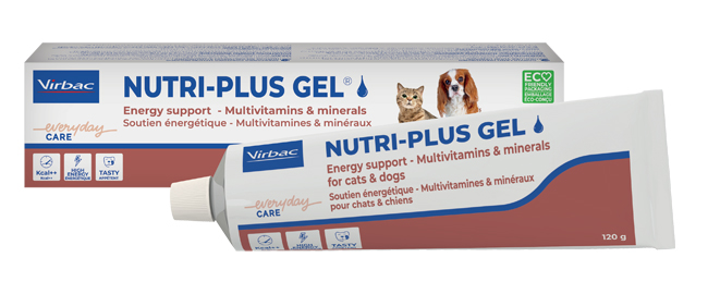 NUTRIPLUS GEL PASTA ORALE 120 G - Farmacia Bartoli