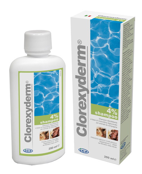 CLOREXYDERM SHAMPOO 4% 250 ML - Farmacia Bartoli
