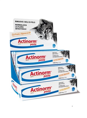 ACTINORM PASTA GATTI 65 G - Farmacia Bartoli