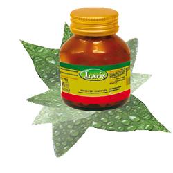 OLIO DI BORRAGINE 50 PERLE - Farmacia Bartoli
