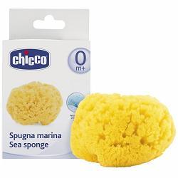 CHICCO SPUGNA MARE PICCOLA - Farmacia Bartoli