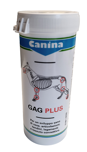 GAG PLUS 200 G 120 TAVOLETTE - Farmacia Bartoli