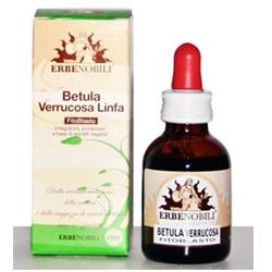 FITOBLASTO BETULLA VERRUCOSA LINFA 50 ML - Farmacia Bartoli