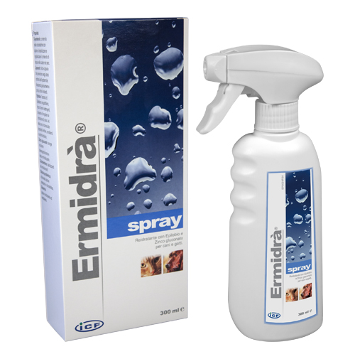 ERMIDRA' SPRAY 300 ML - Farmacia Bartoli