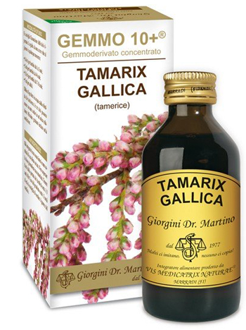 GEMMO 10+ TAMERICE 100 ML LIQUIDO ANALCOLICO - Farmacia Bartoli