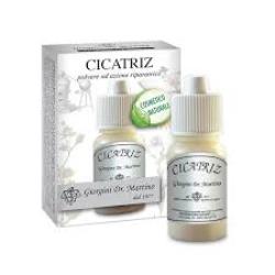 CICATRIZ POLVERE 10 G - Farmacia Bartoli