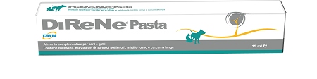 DIRENE PASTA 15 ML - Farmacia Bartoli