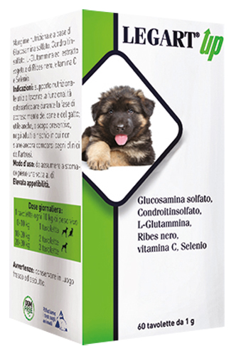 LEGART UP 60 COMPRESSE DA 1 G - Farmacia Bartoli