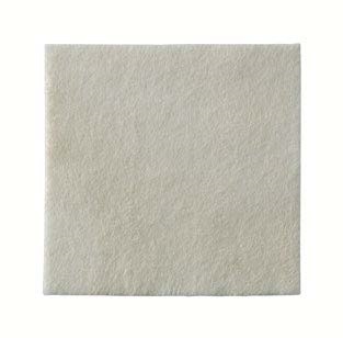 MEDICAZIONE BIATAIN ALGINATE AG ALGINATO CON ARGENTO 10X10CM 10 PEZZI - Farmacia Bartoli