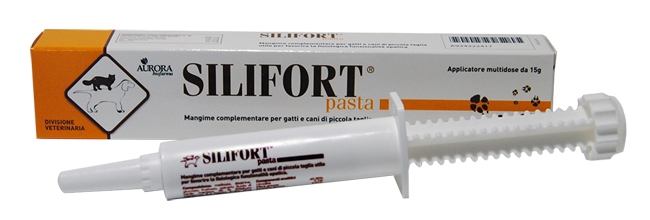 SILIFORT PASTA OS SIRINGA 15 G - Farmacia Bartoli
