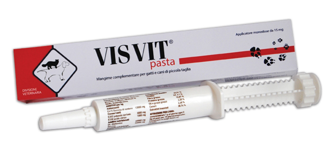 VISVIT PASTA OS SIRINGA 15 G - Farmacia Bartoli
