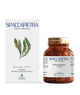 SPACCAPIETRA 50 CAPSULE - Farmacia Bartoli