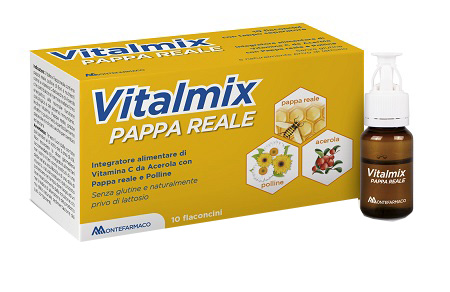 VITALMIX PAPPA REALE 10FLACONCINI X10 ML S/GL - Farmacia Bartoli