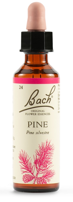 PINE BACH ORIG 20 ML - Farmacia Bartoli