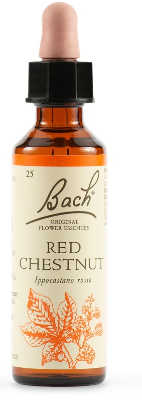RED CHESTNUT BACH ORIG 20 ML - Farmacia Bartoli