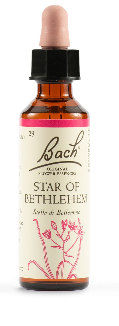 STAR OF BETHL ORIG 20 ML - Farmacia Bartoli