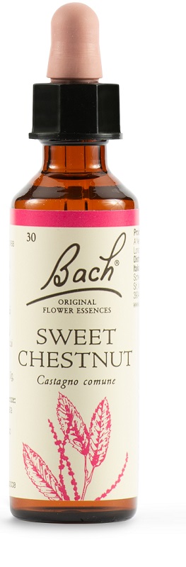 SWEET CHEST BACH ORIG 20 ML - Farmacia Bartoli