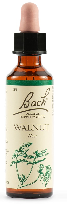 WALNUT BACH ORIG 20 ML - Farmacia Bartoli