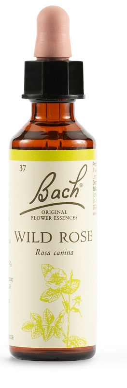 WILD ROSE BACH ORIG 20 ML - Farmacia Bartoli