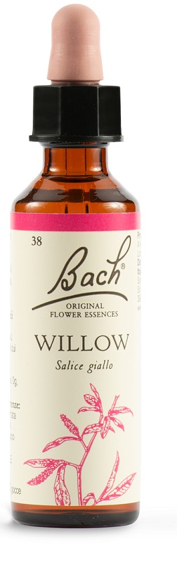 WILLOW BACH ORIG 20 ML - Farmacia Bartoli