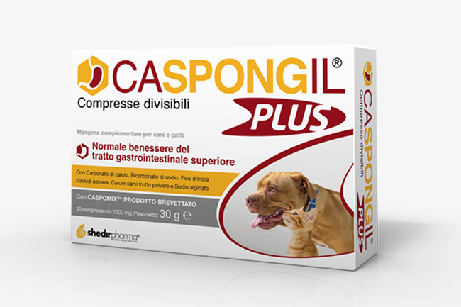 CASPONGIL PLUS 30 COMPRESSE - Farmacia Bartoli