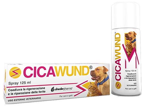 CICAWUND SPRAY 125 ML - Farmacia Bartoli
