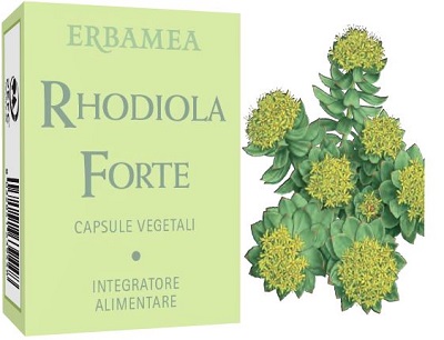 RHODIOLA FORTE 24 CAPSULE - Farmacia Bartoli
