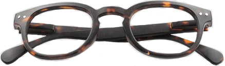 OCCHIALE DA LETTURA PREMONTATO TWINS PLATINUM RETRO MARRONE +1,00 - Farmacia Bartoli
