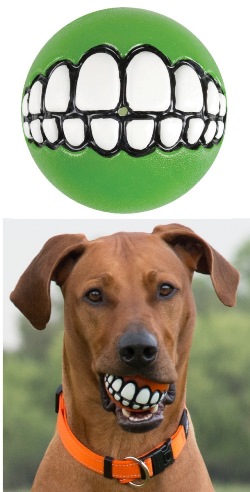 GRINZ BALL LARGE LIME - Farmacia Bartoli