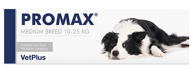 PROMAX MEDIUM BREED 18 ML - Farmacia Bartoli