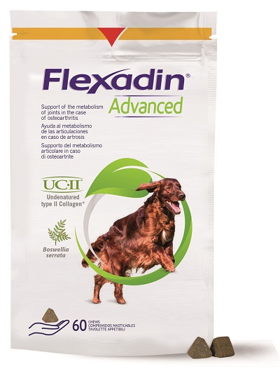FLEXADIN ADVANCED CANE TUTTE LE TAGLIE 60 TAVOLETTE APPETIBILI - Farmacia Bartoli