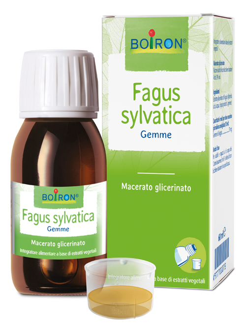 FAGUS SYLVATICA BOIRON MACERATO GLICERICO 60 ML - Farmacia Bartoli