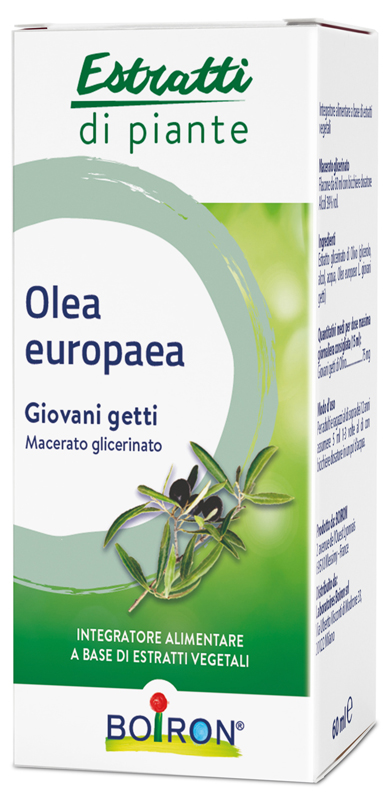 OLEA EUROPAEA BOIRON MACERATO GLICERICO 60 ML - Farmacia Bartoli