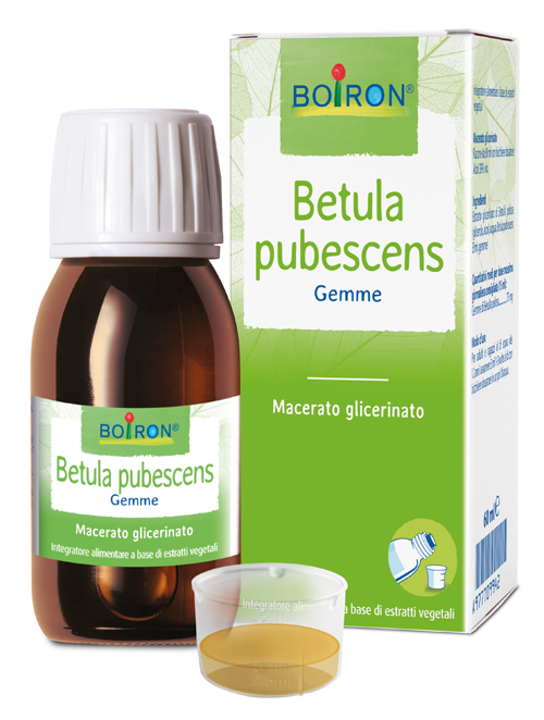 BETULA PUBESC BOIRON MACERATO GLICERICO 60 ML - Farmacia Bartoli