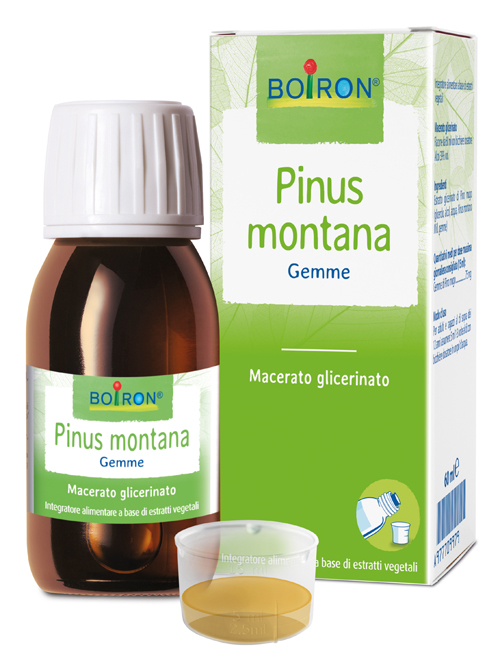 PINUS MONTANA BOIRON MACERATO GLICERICO 60 ML - Farmacia Bartoli