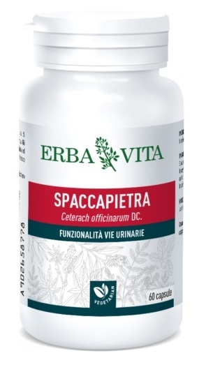 SPACCAPIETRA 60 CAPSULE - Farmacia Bartoli