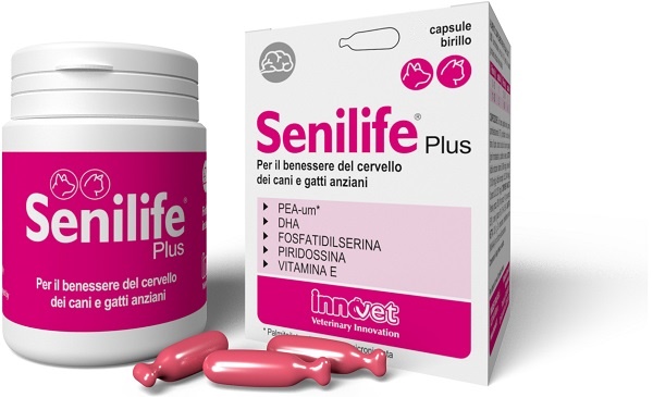 SENILIFE PLUS 60 CAPSULE - Farmacia Bartoli