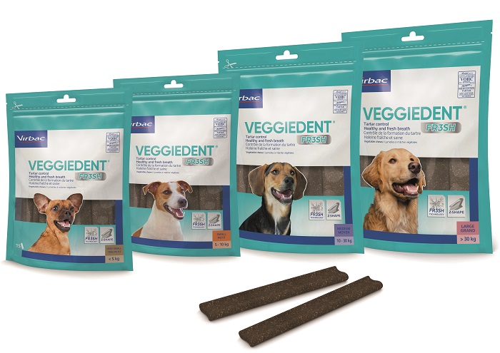 VEGGIEDENT FR3SH L 15 STICK - Farmacia Bartoli